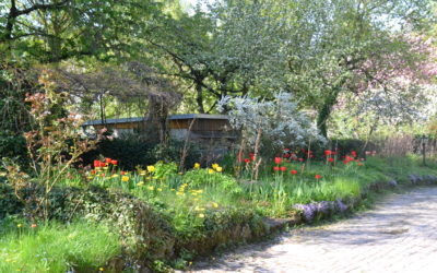 Gartenkultur im Landkreis Haßberge – Konzeption
